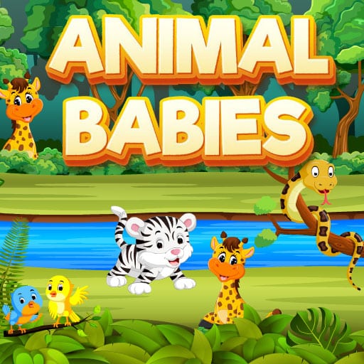 animal babies