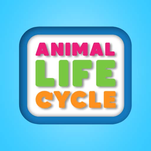 animal life cycle