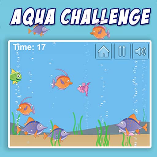 aqua challenge