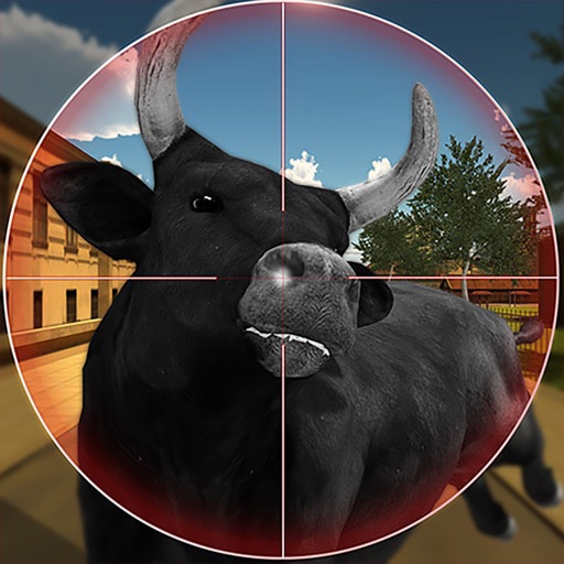 bull shooting