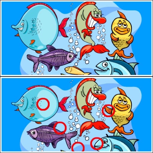 fish differences