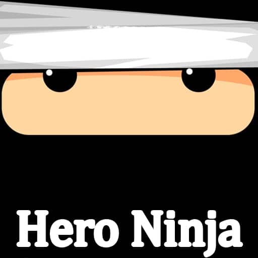 hero ninja