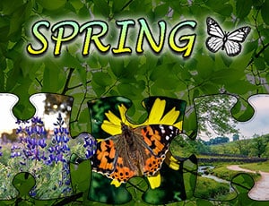 jigsaw puzzle spring