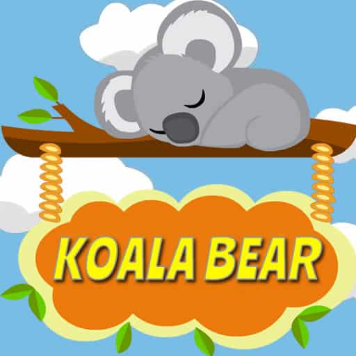 koala bear