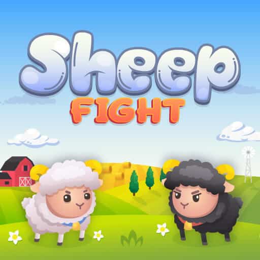 sheep fight