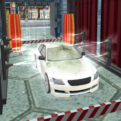 sports car wash