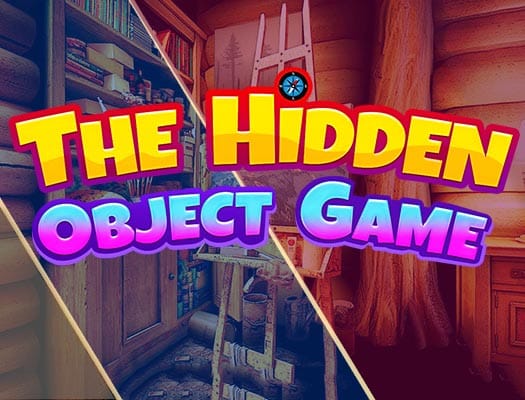 the hidden objects game