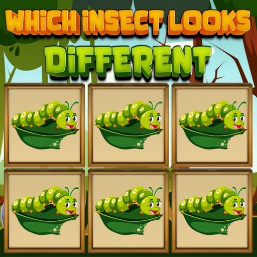 which insect looks different