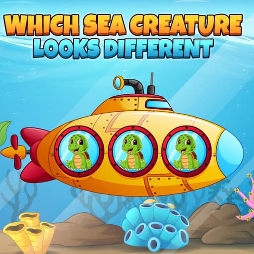 which sea creature looks different